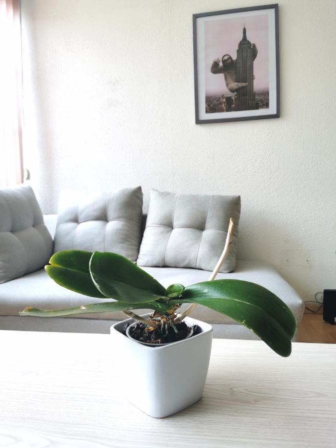 Happy Little Chicago Wtc Apartment Mexico City Ngoại thất bức ảnh